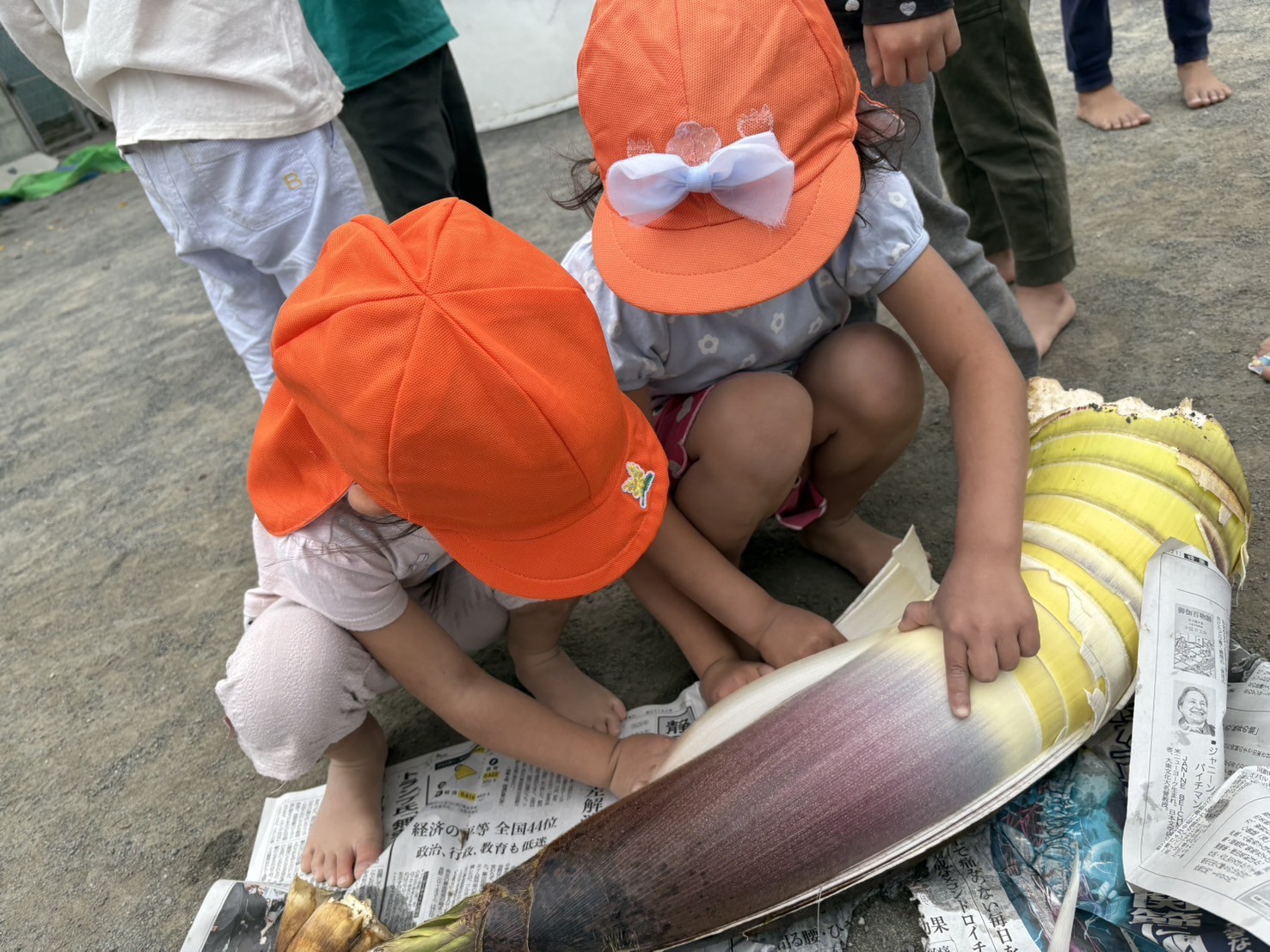 たけのこの皮むき体験